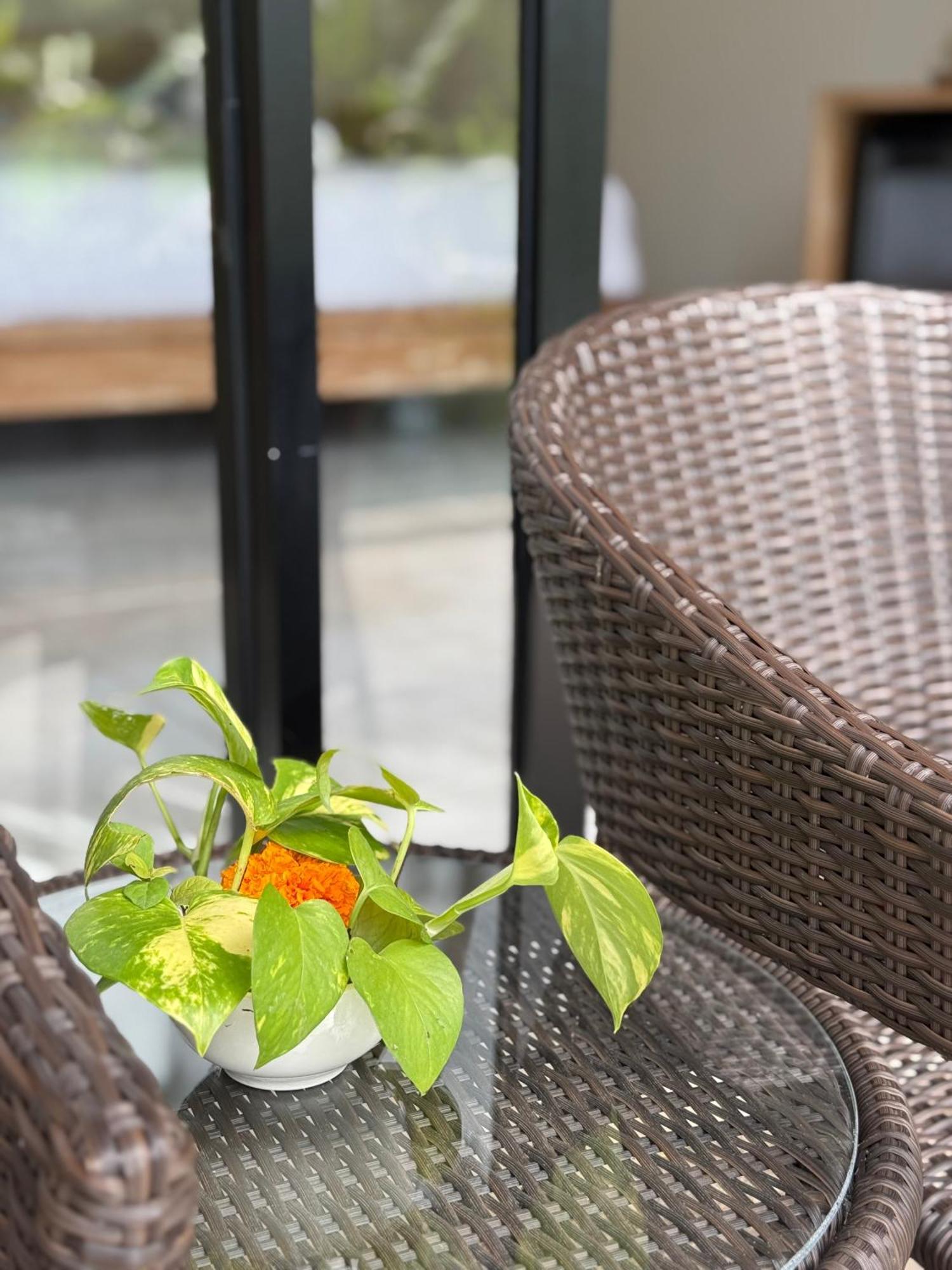 Bali View Ubud Hotel Exterior foto